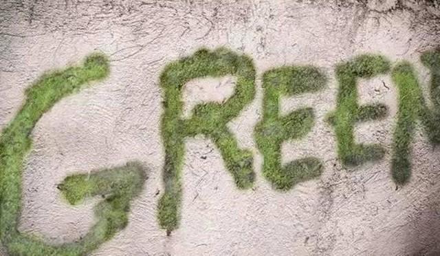 苔藓意境盆景,文人树盆景怎么养才能突出好看