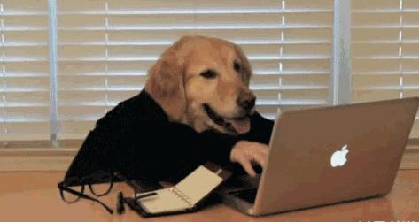 如何写砸一本小说,怎么写一篇爆文