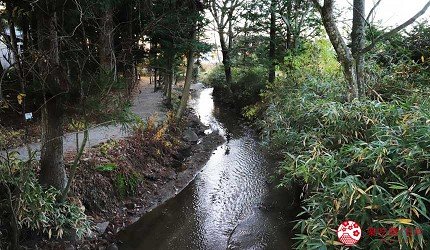 日本岩手县观光攻略,日本岩手县怎么样