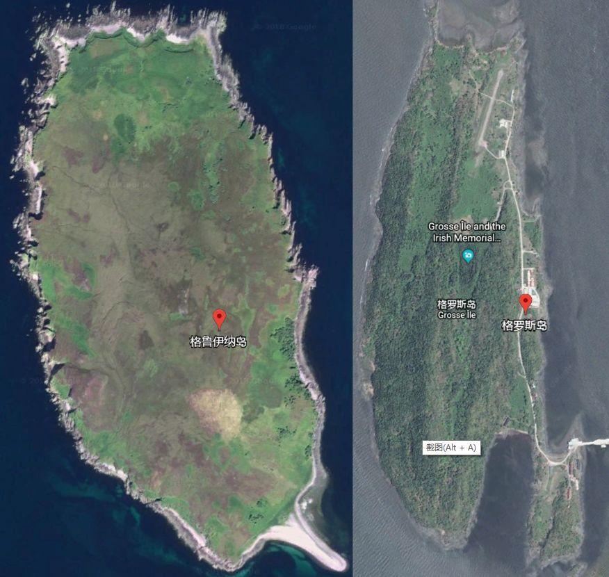 不是药嗑多了，加拿大怎么可能制造出这种“毒器”？｜局器