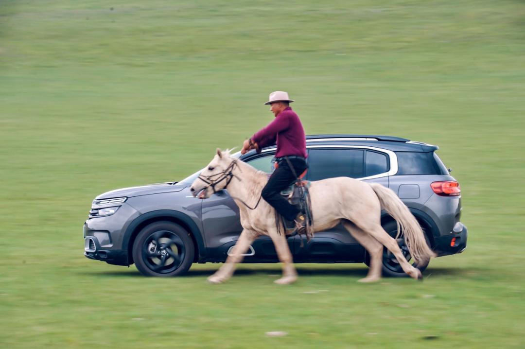 雪铁龙天逸插混四驱7座试驾,锡林郭勒草原上的骏马