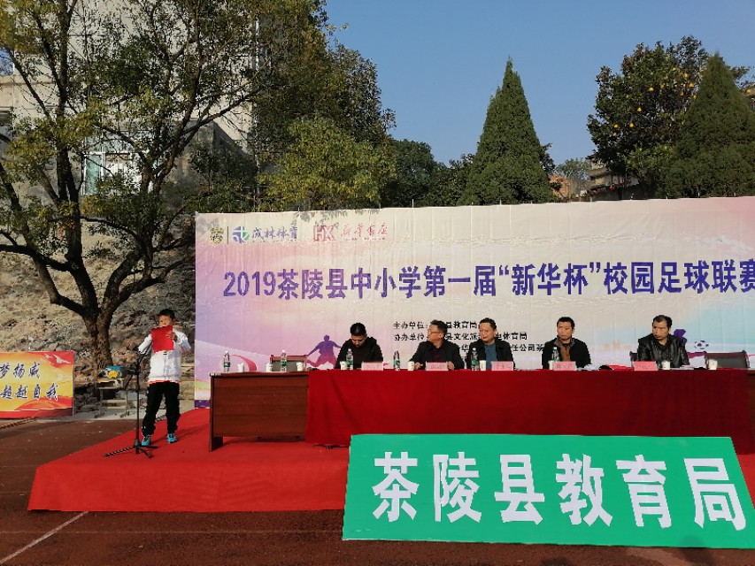 茶陵县足球联赛,茶陵城西小学足球赛