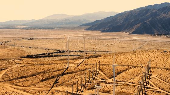 沙特建设沙漠公园,沙特5000亿美元沙漠造新城现状