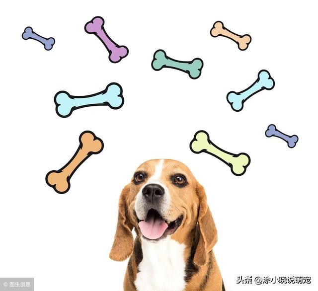 仓鼠宝宝几天以后不会被妈妈吃,仓鼠妈妈把仓鼠吃了怎么办