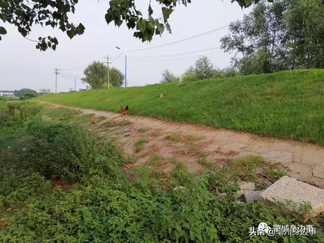 蒙城:一船一家一辈子!他们吃住都在船上