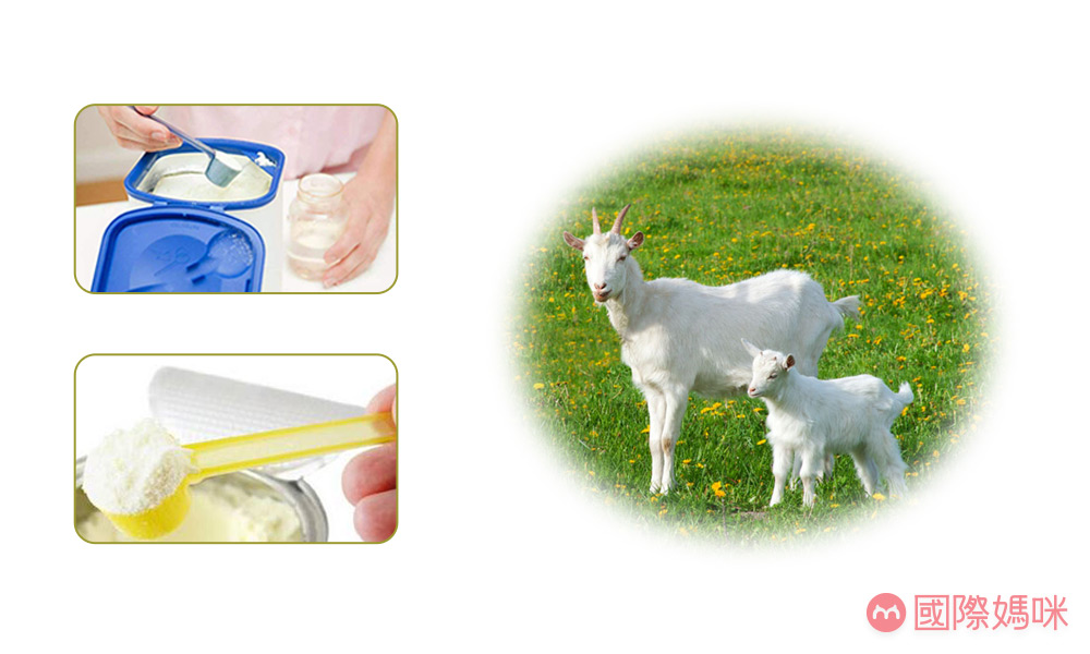 可瑞康羊奶粉推荐吗,可瑞康和佳贝艾特羊奶粉哪个好