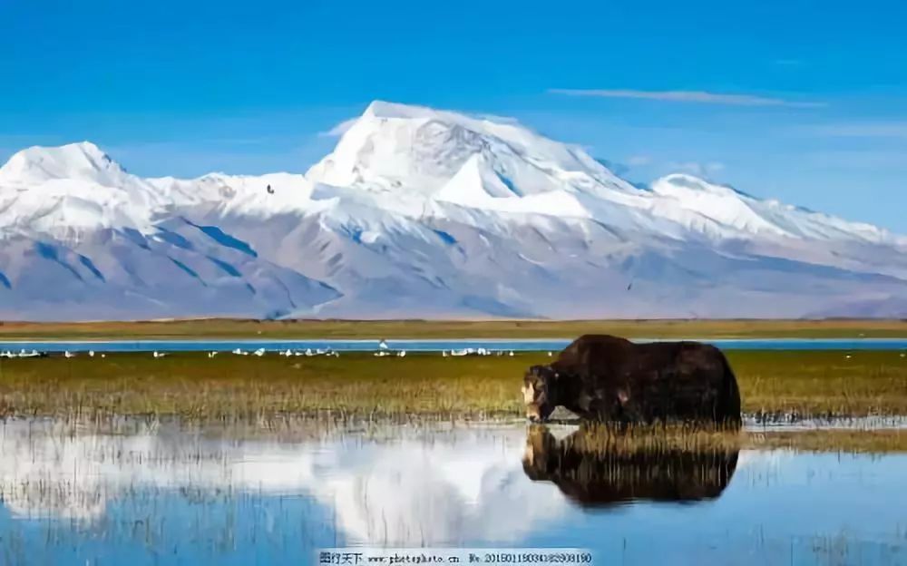 这些中国之最你知道吗,中国之最全部视频