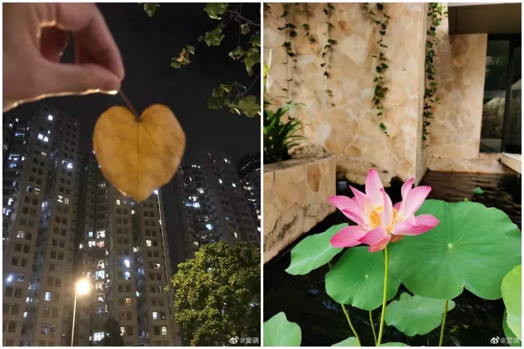 赌王千金真实情史,赌王千金情路坎坷