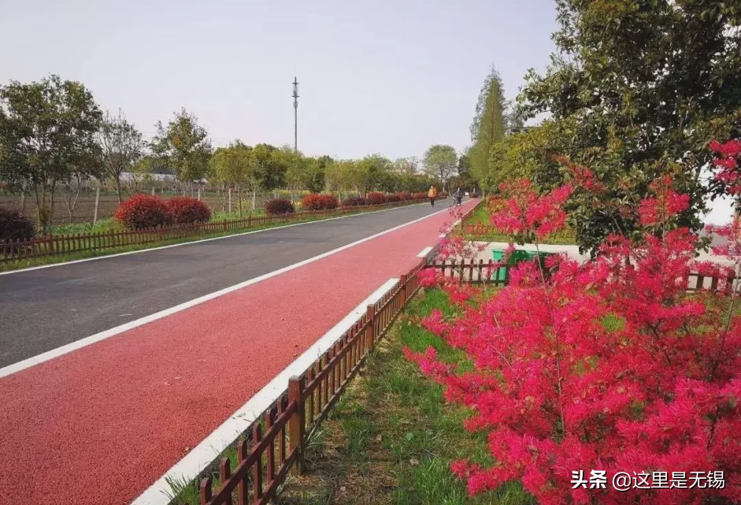 无锡最美网红步道坡度,无锡网红步道有哪些