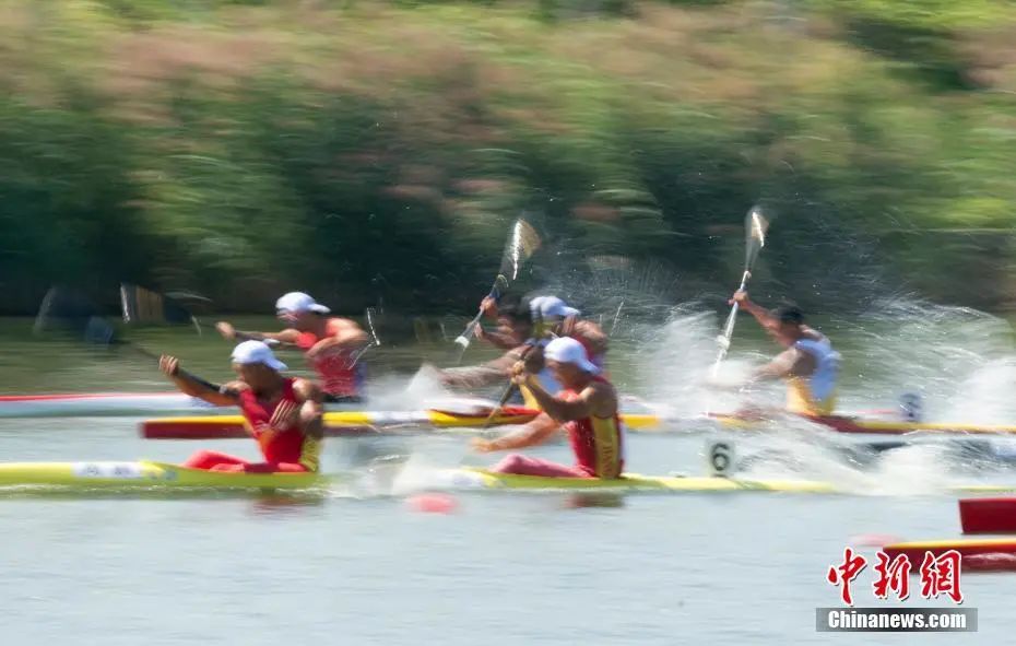 打通生态“绿脉”气象人巧手织了一张绿网