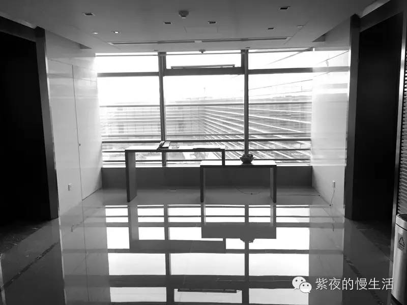 苏州带宠物去的古镇,苏州小众宠物乐园推荐