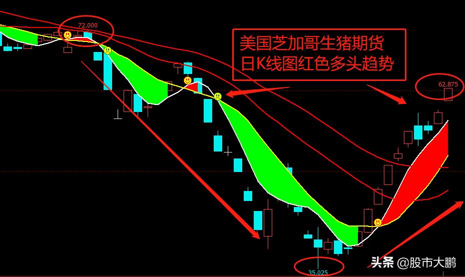 美国猪肉暴涨,美国猪肉涨停