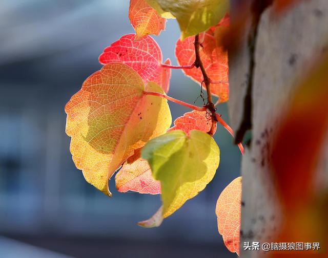 ps摄影后期软件工具使用教程,摄影ps后期工具栏设置