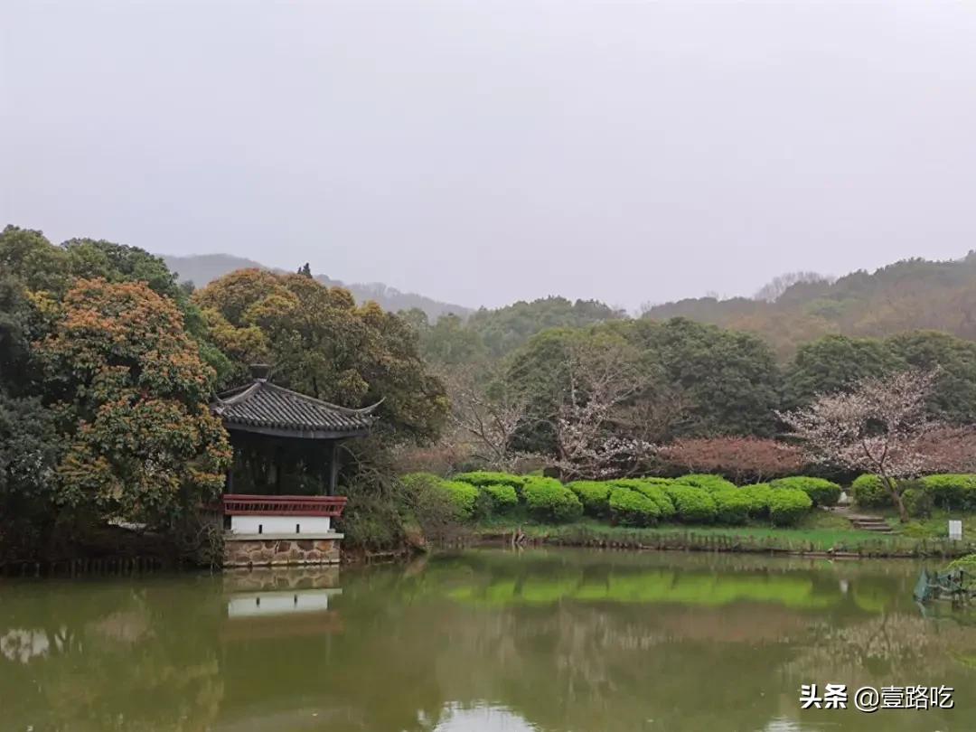 无锡人都在吃什么,无锡人为什么喜欢吃甜的