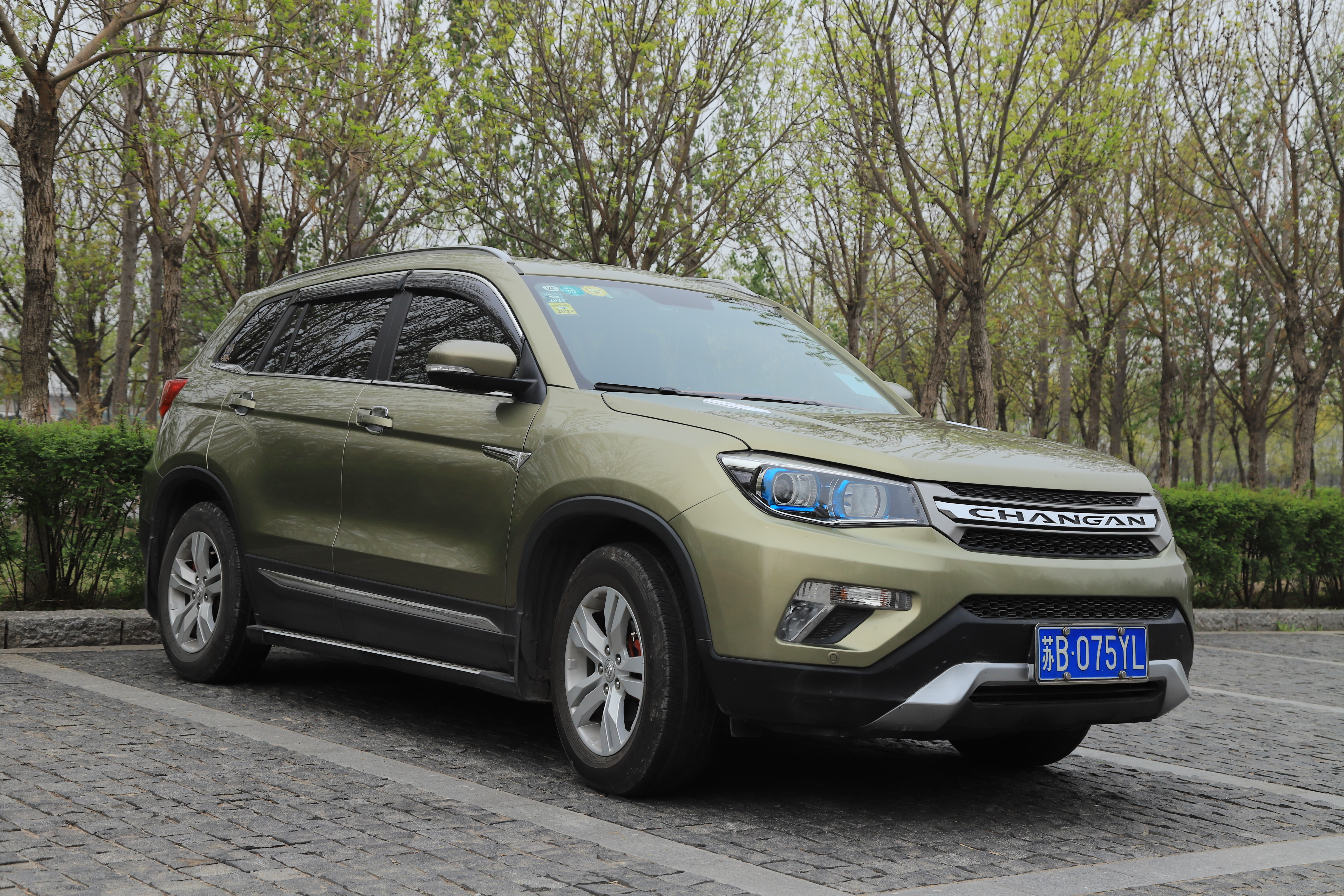 新奇好玩的公园,西青郊野公园开放最新通知