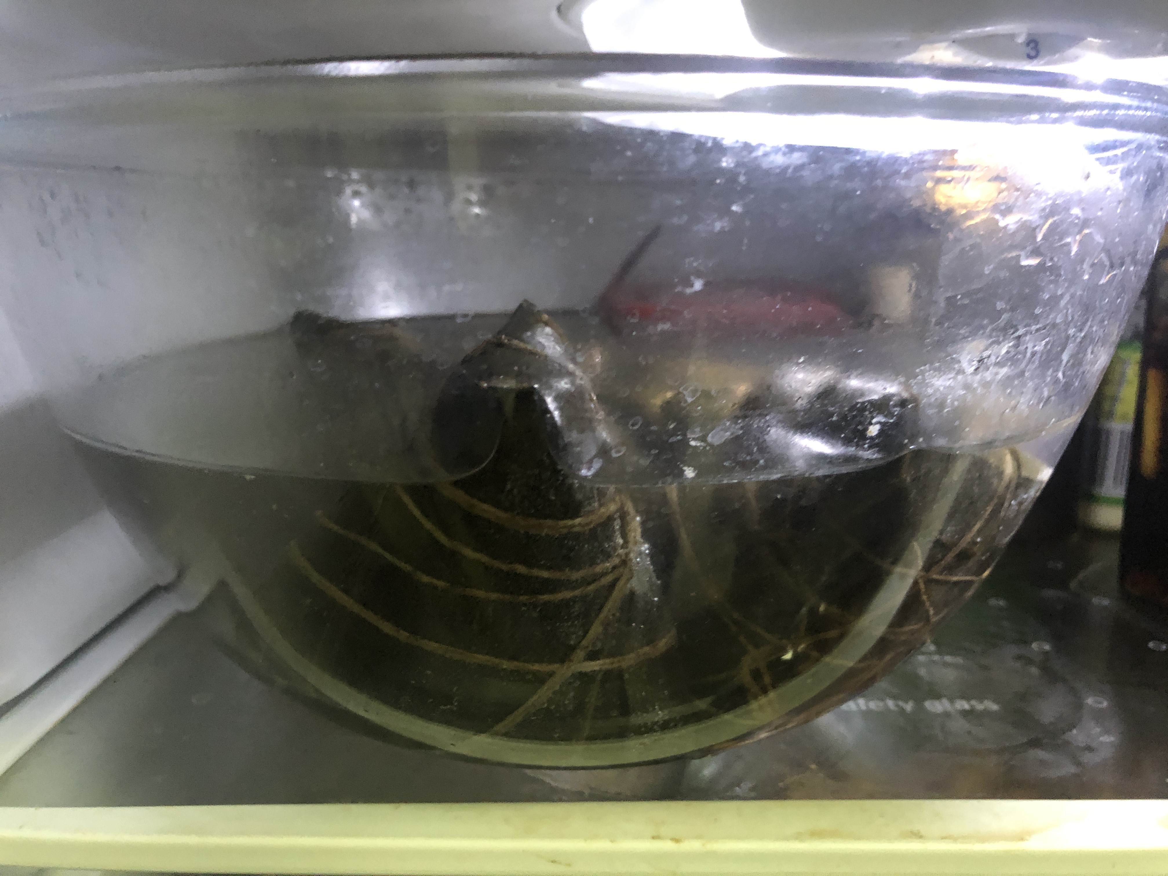 吃不完的粽子直接放室外会坏吗,吃不完的粽子放水里泡着