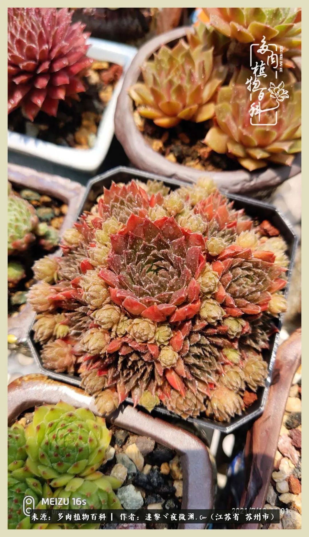 秋尽冬来岁月不居时节如流,岁月不居时节如流水