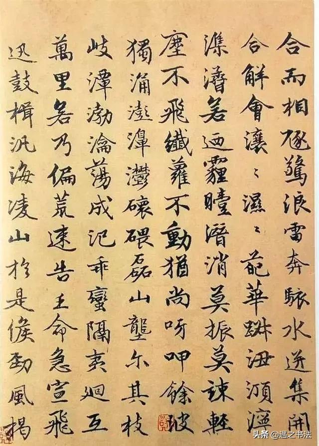 一幅难得一见的书法,这幅书法太有古味别错过