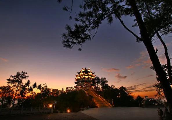 每日一篇美文节选,每日美文散文赏析