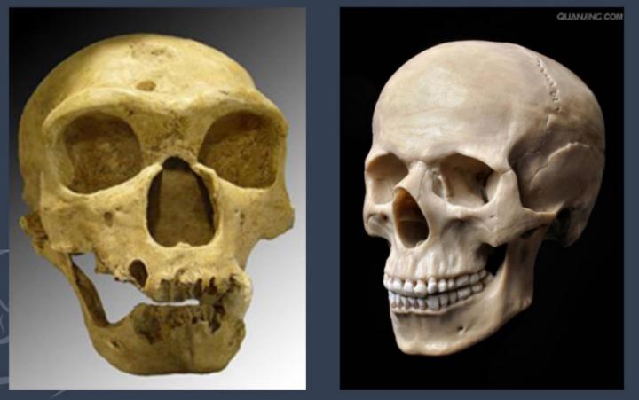 抗衰不再是简单的面部抗衰,风靡全球面部抗衰的最好方法