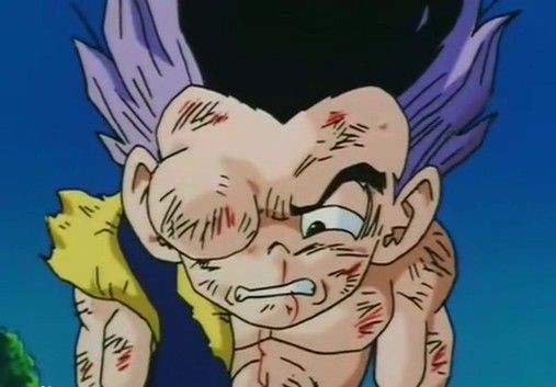 英超队徽小故事,英超队徽的故事你知道吗