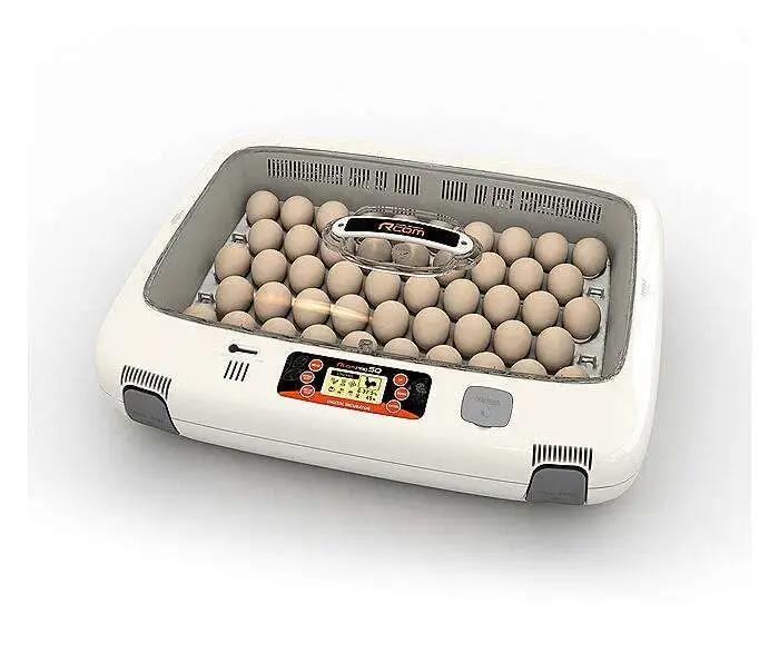 买哪一只股票好,持有几只股票好