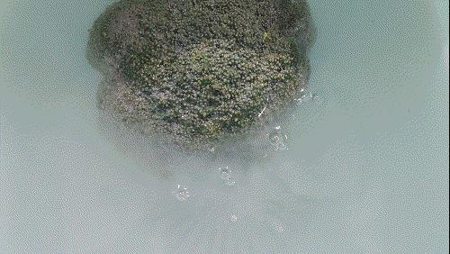 法格果蔬清洗机,法格蔬清洗机评测