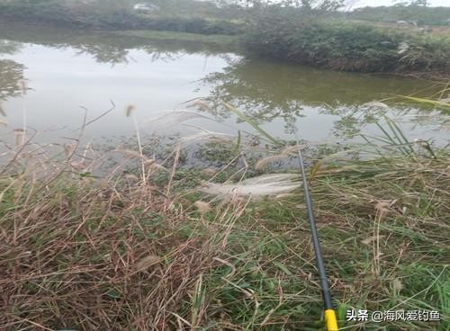 冬季钓鱼的4个实用小技巧,冬天20度钓鱼钓深还是钓浅