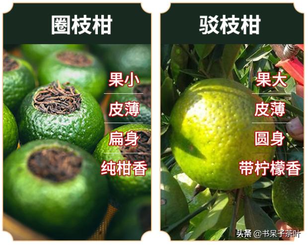 不贪小便宜，不交智商税，阿呆教你如何挑小青柑