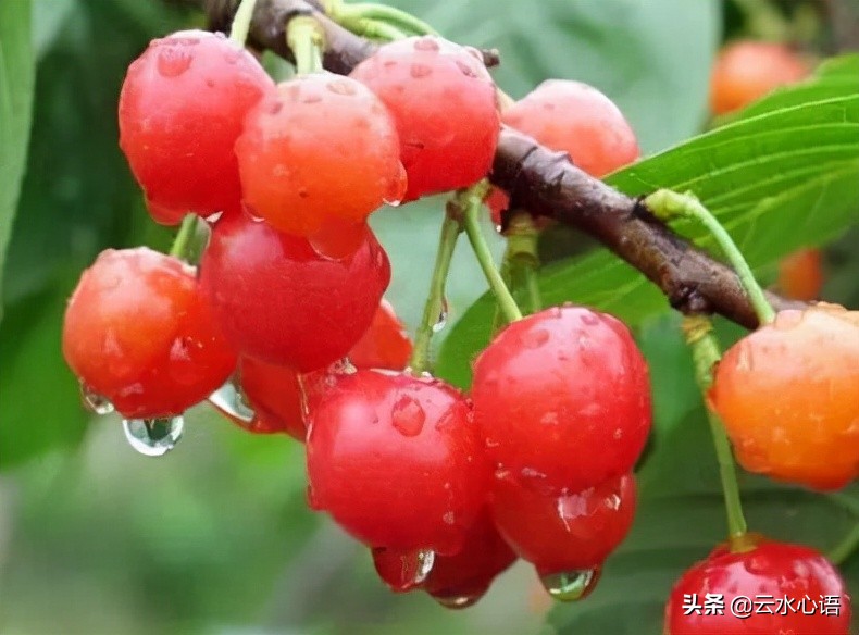 堪称经典的十首古诗词,值得收藏的三大经典古诗词