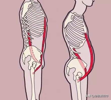 拉伸髂腰肌的瑜伽体式,久坐的人如何拉伸髂腰肌