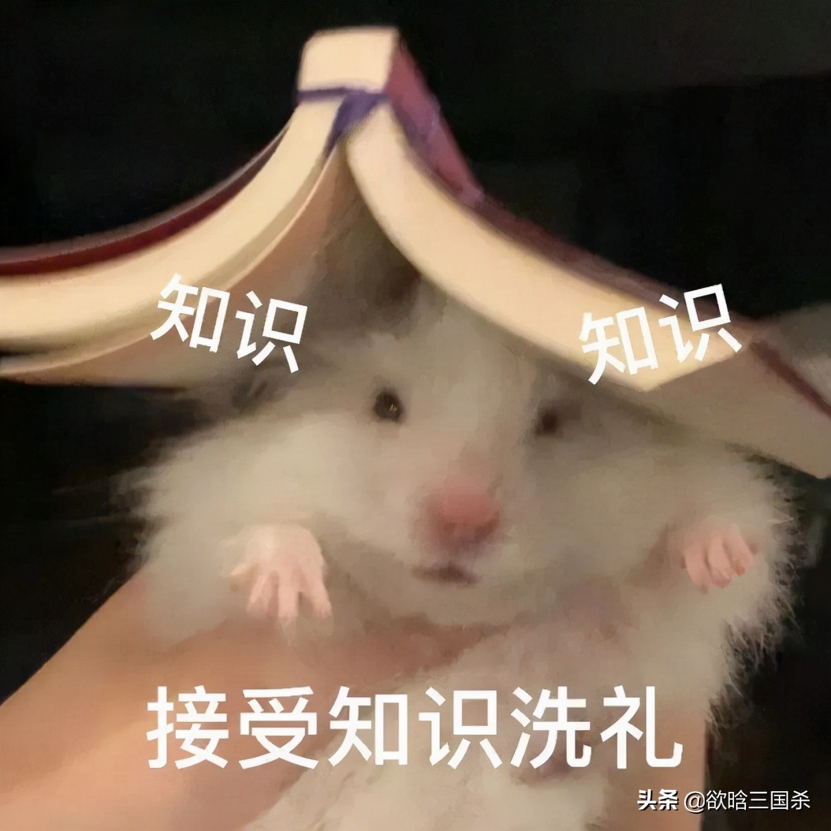 三国杀打神荀彧要注意什么,三国杀神荀彧技能爆料