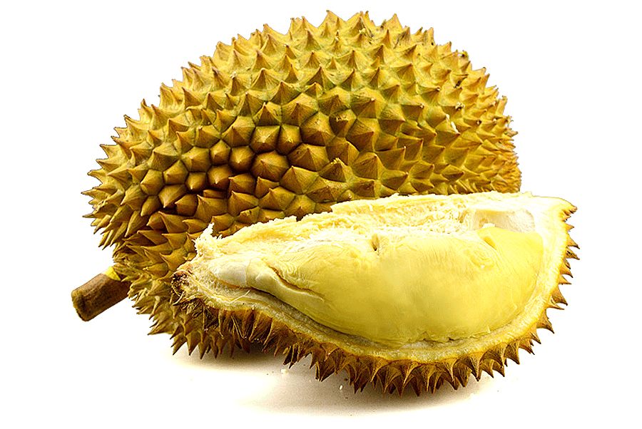 儿童画水果简笔画教程,儿童水彩笔画水果怎么画