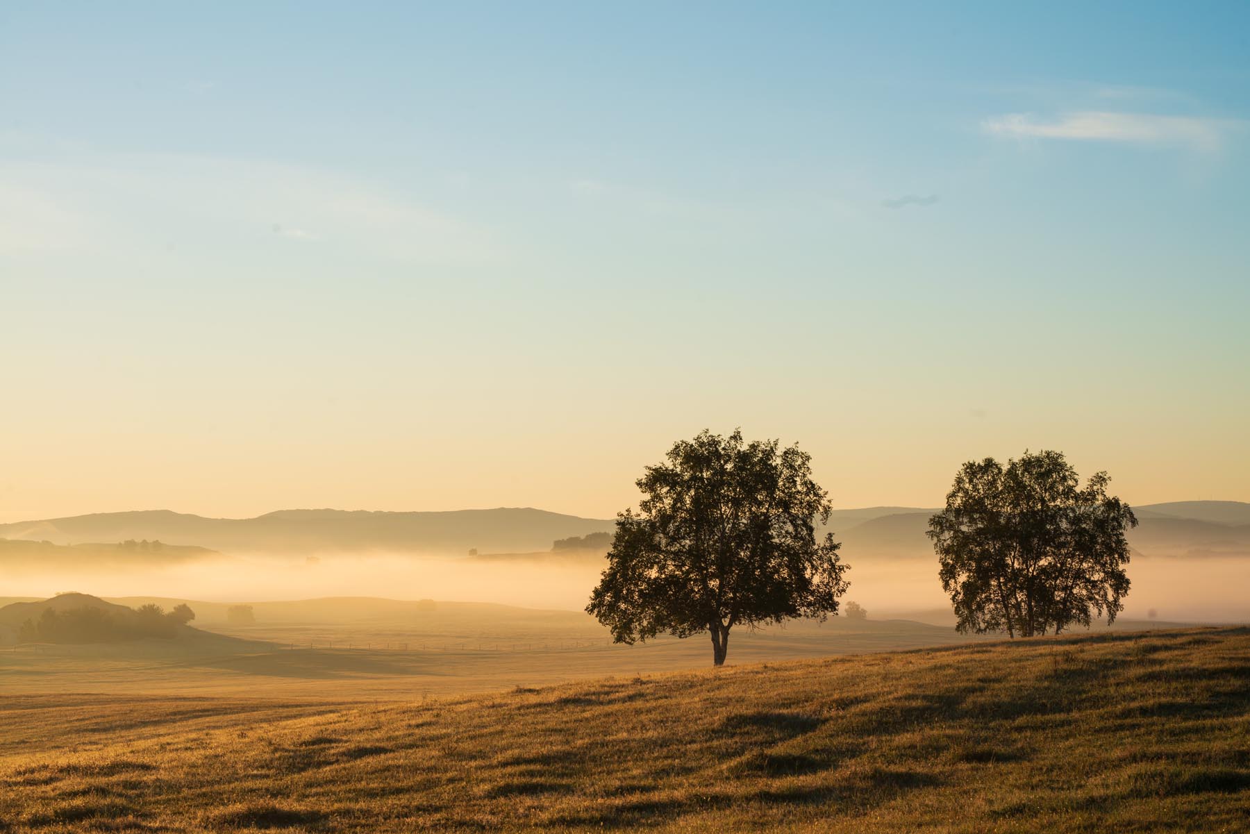 拥有这21件高颜值户外装备，让我们的草原野餐会像家里般优雅