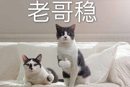 村官工作的职位晋升路线是什么,没学历当村官有晋升空间吗