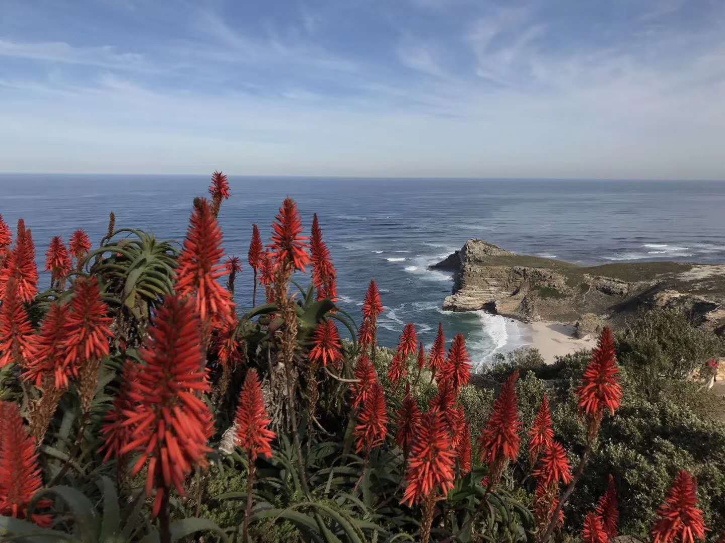 你还在被本土和韩国芦荟胶“骗”多少年？