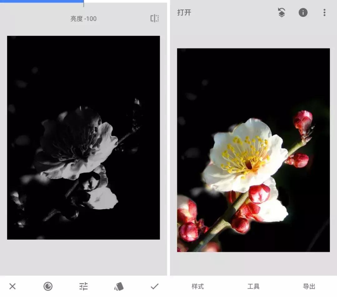 手机也能拍出黑背景，在家就能拍出摄影棚的感觉