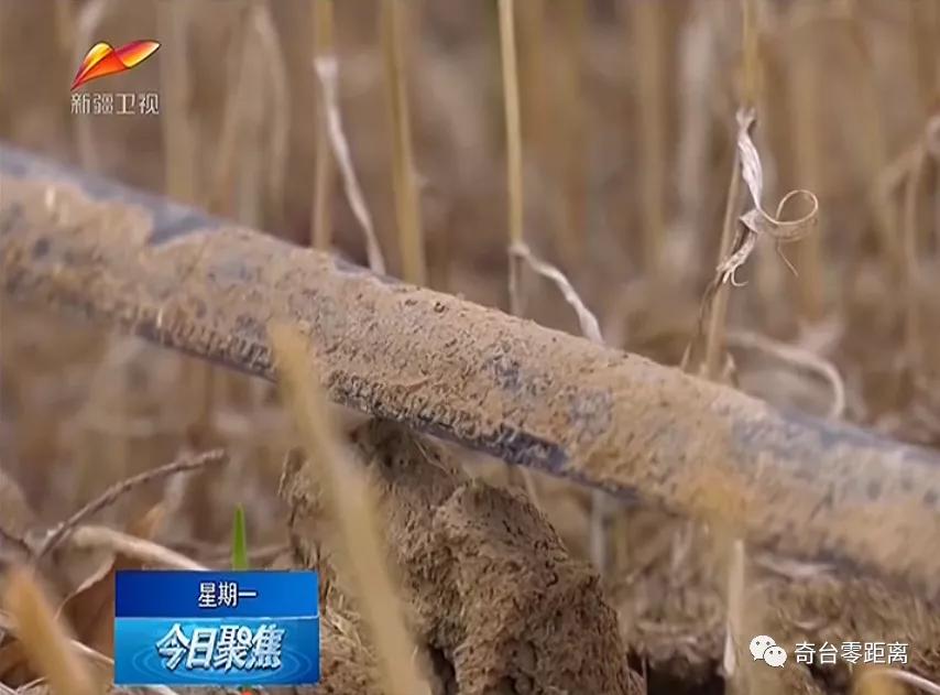 关于做好六稳六保工作的提示函,用心用情用力落实六稳六保