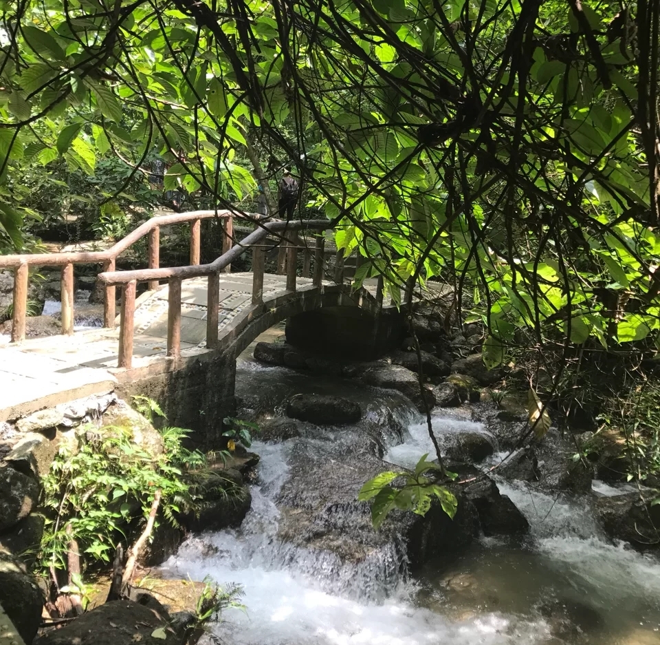 广西大容山森林公园,大容山露营三个露营点的区别