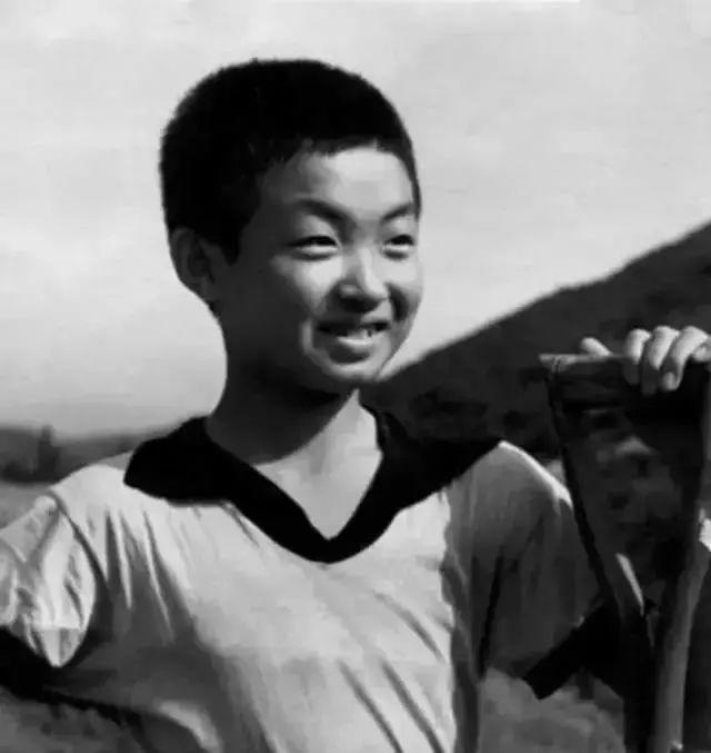 毒舌女王金星变性后续,毒舌金星的传奇人生