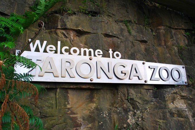 澳洲悉尼动物园,悉尼塔隆加动物园介绍