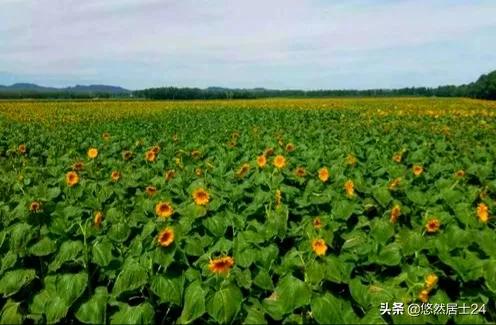 走进阿拉善大漠孤烟,阿拉善巴彦浩特