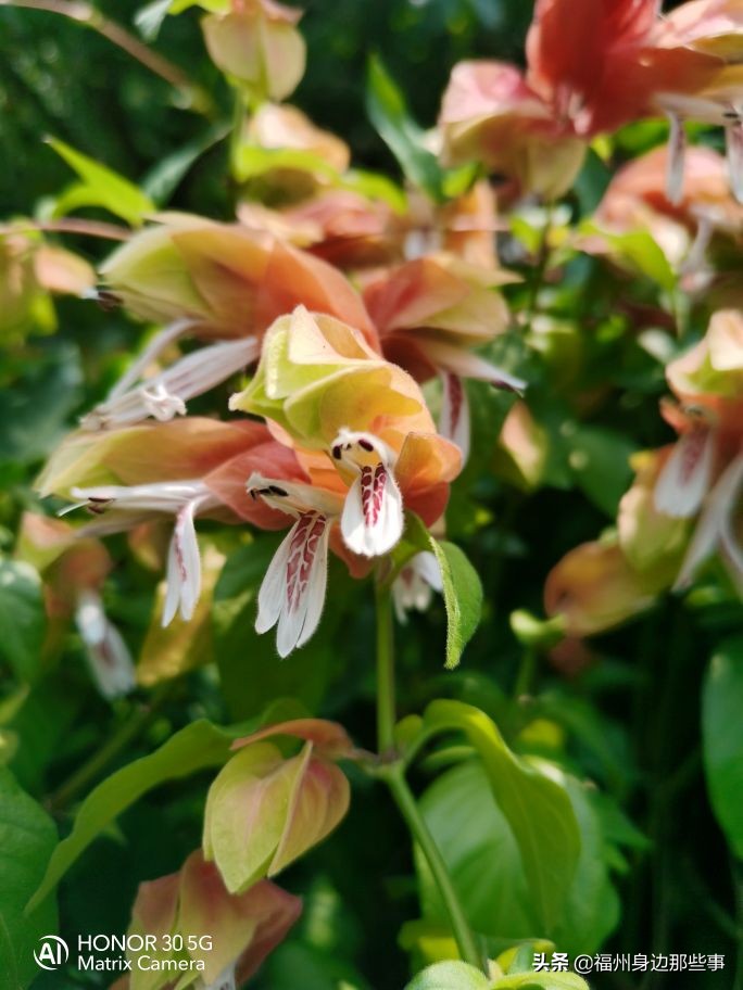 福州露营休闲放松好去处,福州温泉景区