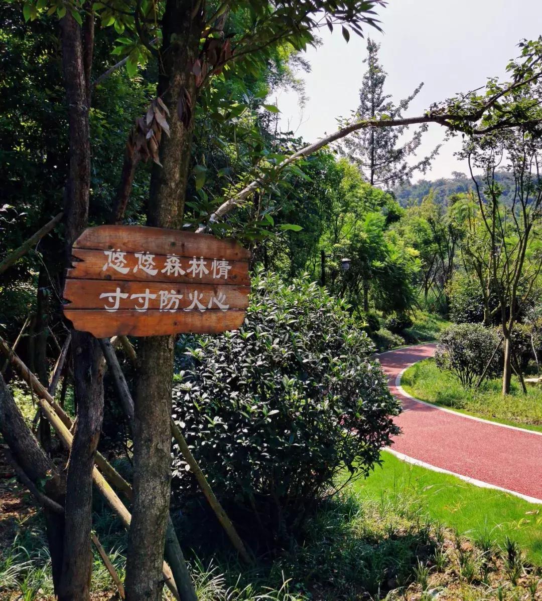 庆祝新中国成立70周年新闻报道,庆祝新中国成立70周年特辑宣讲