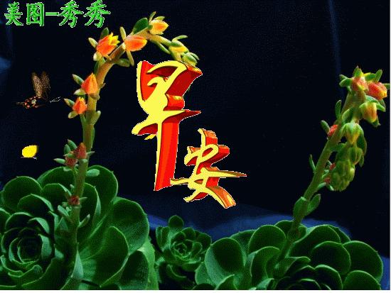 早上好图片带字逗人开心表情包,最新的精美的优雅的早上好表情包