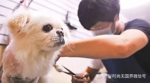 全球时尚最新发布,全球本周要闻