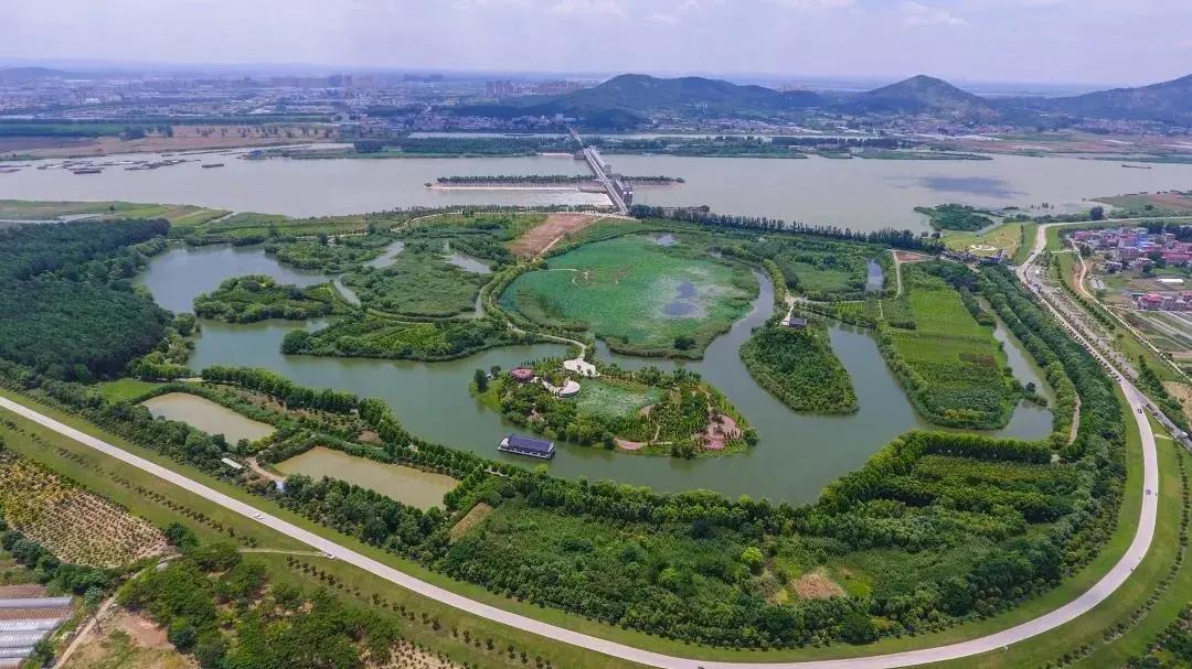 蚌埠市十大网红,蚌埠城市魅力排行