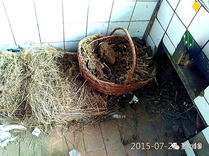 老家的印象和往事 (老家的印象介绍)