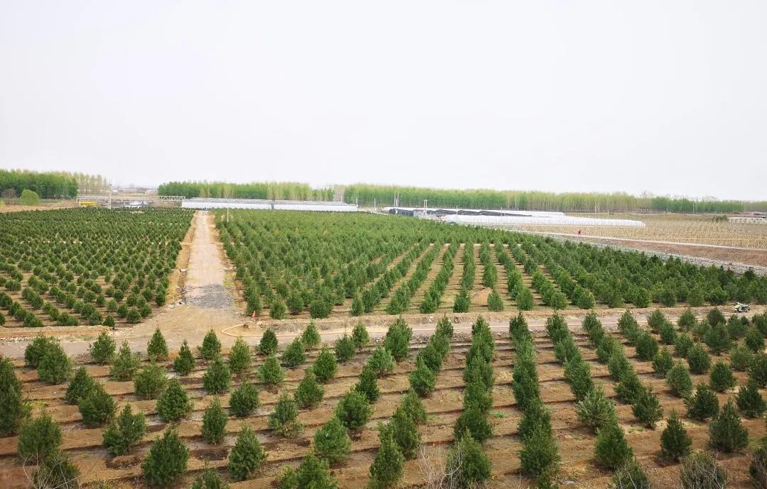 峰峰矿区哪个乡镇最好,峰峰美丽乡村都有哪些