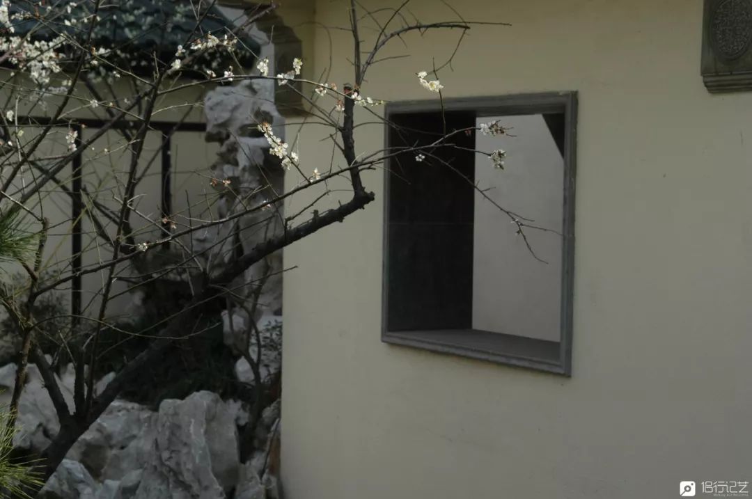 大叔花700万建的花园别墅,太湖石苏州